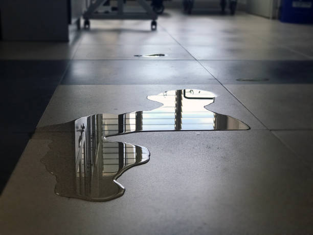 Best Emergency water damage restoration  in Springfield, MA