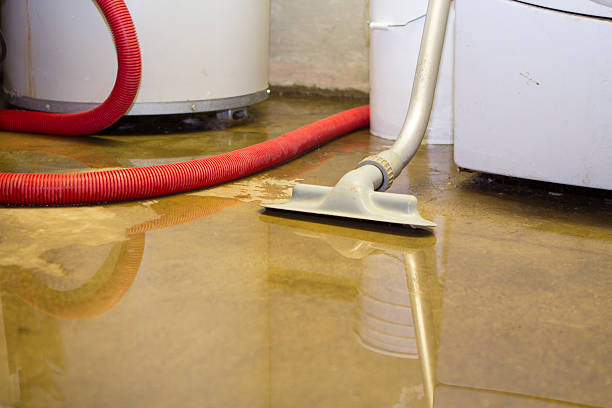 Best Commercial water damage restoration  in Springfield, MA