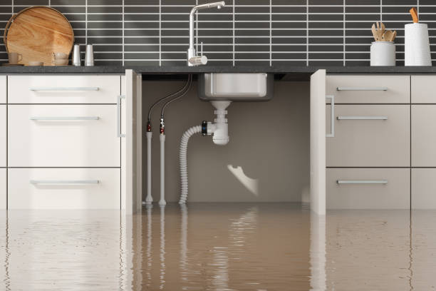 Best Basement water damage restoration  in Springfield, MA