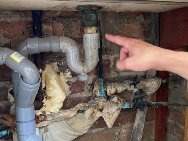 Best Carpet water damage restoration  in Springfield, MA