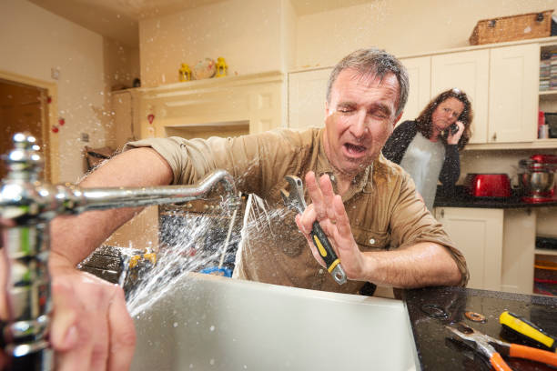 Best Professional water damage repair  in Springfield, MA